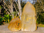 Polished Clear Quartz Display Crystals x 2 From Madagascar - Toprock Gemstones and Minerals 