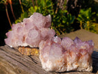 Natural Spirit Amethyst Clusters x 2 From Boekenhouthoek, South Africa - Toprock Gemstones and Minerals 