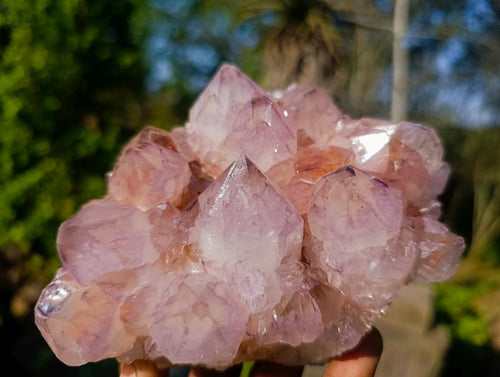 Natural Spirit Amethyst Clusters x 2 From Boekenhouthoek, South Africa - Toprock Gemstones and Minerals 