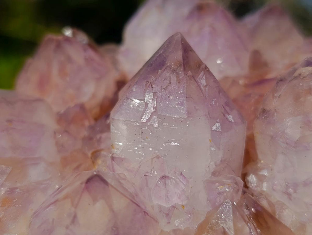Natural Spirit Amethyst Clusters x 2 From Boekenhouthoek, South Africa - Toprock Gemstones and Minerals 
