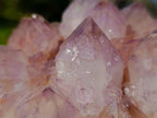 Natural Spirit Amethyst Clusters x 2 From Boekenhouthoek, South Africa - Toprock Gemstones and Minerals 