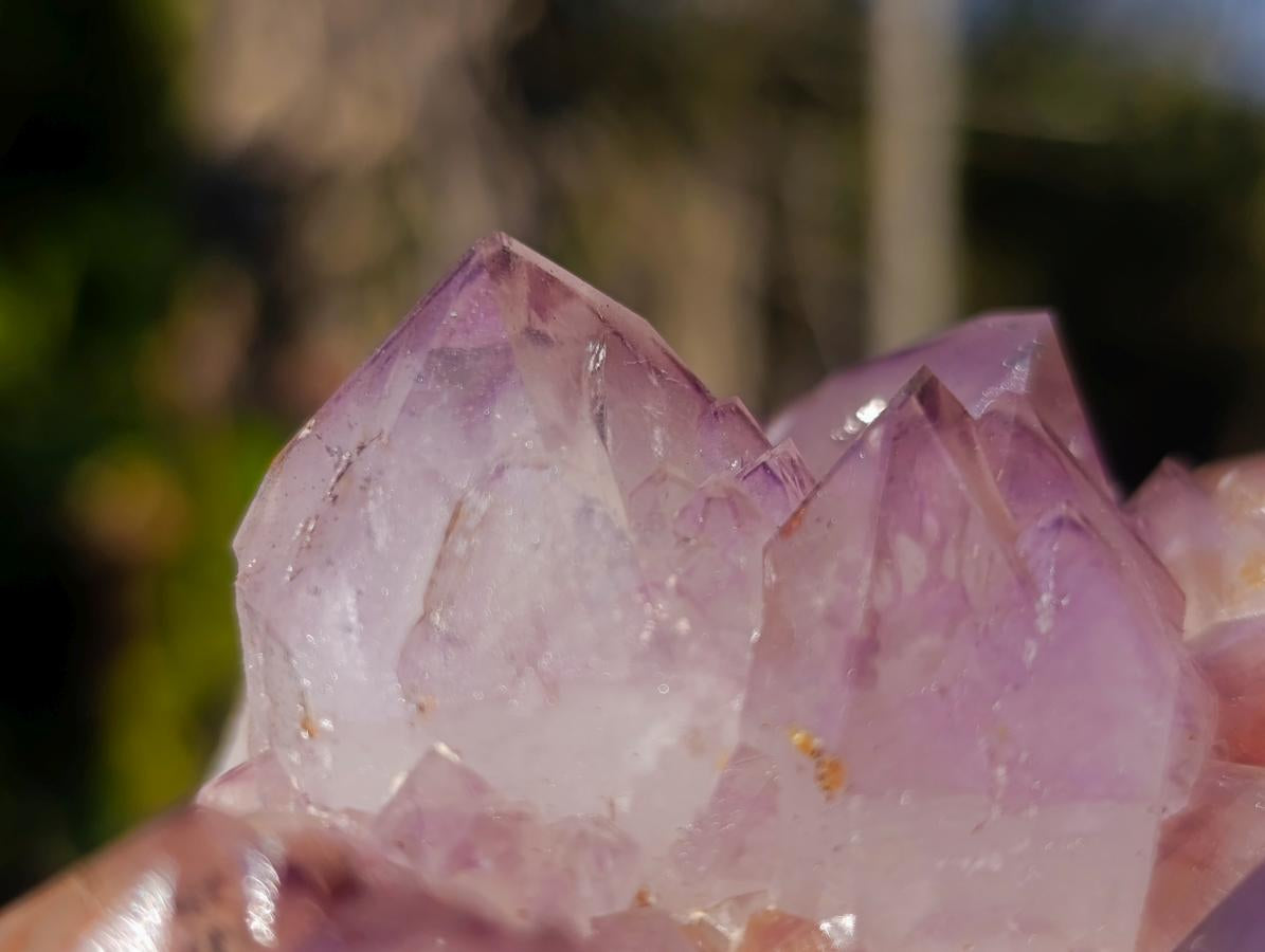 Natural Spirit Amethyst Clusters x 2 From Boekenhouthoek, South Africa - Toprock Gemstones and Minerals 