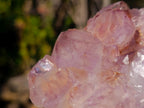 Natural Spirit Amethyst Clusters x 2 From Boekenhouthoek, South Africa - Toprock Gemstones and Minerals 