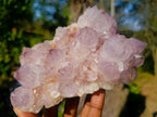 Natural Spirit Amethyst Clusters x 2 From Boekenhouthoek, South Africa - Toprock Gemstones and Minerals 