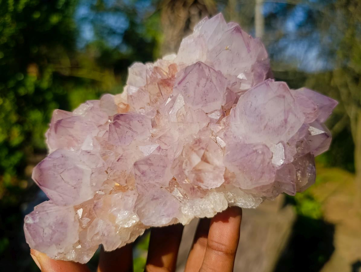 Natural Spirit Amethyst Clusters x 2 From Boekenhouthoek, South Africa - Toprock Gemstones and Minerals 