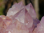 Natural Spirit Amethyst Clusters x 2 From Boekenhouthoek, South Africa - Toprock Gemstones and Minerals 