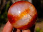 Polished Small Carnelian Agate Gemstone Spheres x 12 From Madagascar - Toprock Gemstones and Minerals 