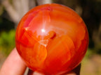 Polished Small Carnelian Agate Gemstone Spheres x 12 From Madagascar - Toprock Gemstones and Minerals 