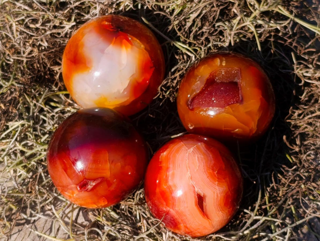 Polished Small Carnelian Agate Gemstone Spheres x 12 From Madagascar - Toprock Gemstones and Minerals 
