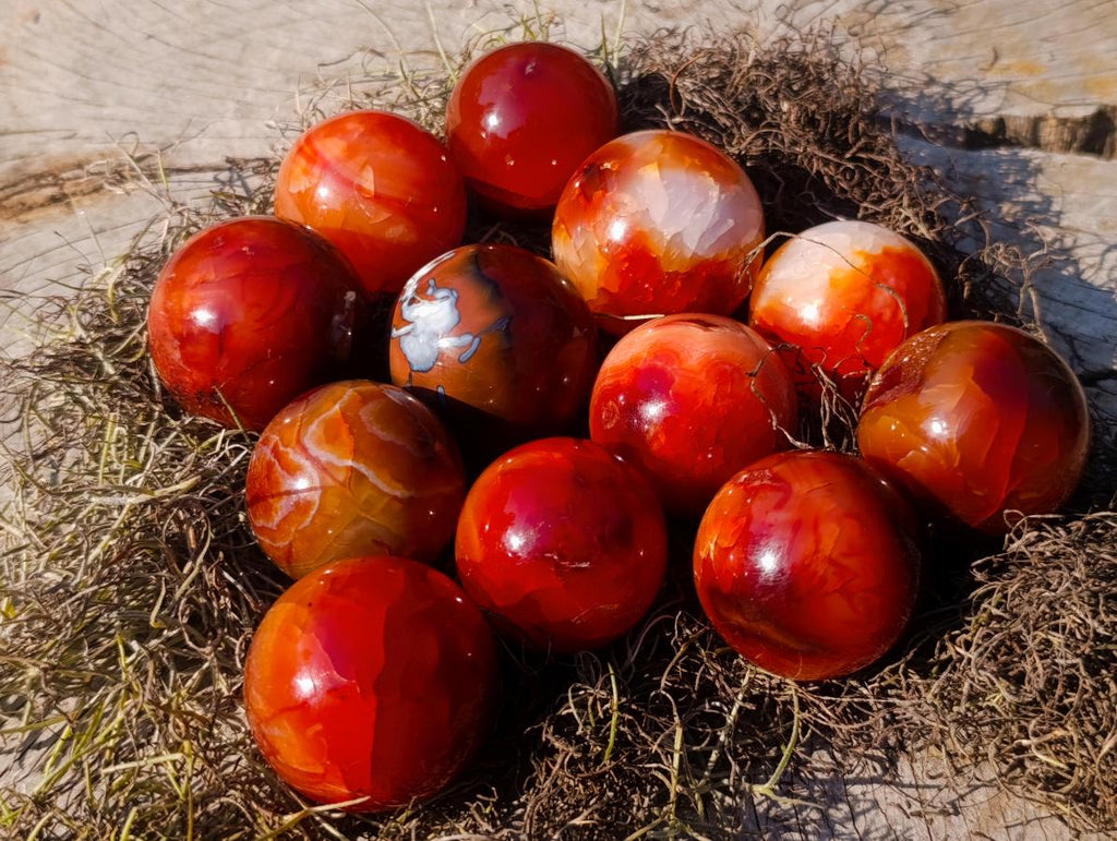 Polished Small Carnelian Agate Gemstone Spheres x 12 From Madagascar - Toprock Gemstones and Minerals 