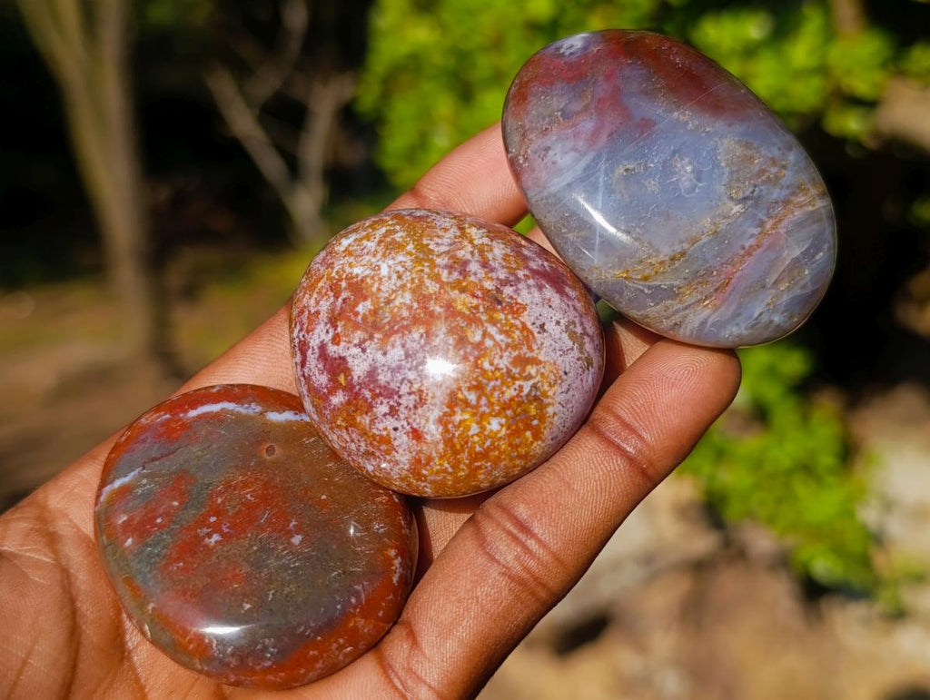 Polished Rare Ocean Jasper Galets x 24 From Northwest Coast, Madagascar - Toprock Gemstones and Minerals 