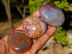 Polished Rare Ocean Jasper Galets x 24 From Northwest Coast, Madagascar - Toprock Gemstones and Minerals 