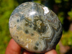 Polished Rare Ocean Jasper Galets x 24 From Northwest Coast, Madagascar - Toprock Gemstones and Minerals 