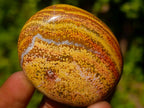 Polished Rare Ocean Jasper Galets x 24 From Northwest Coast, Madagascar - Toprock Gemstones and Minerals 