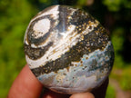 Polished Rare Ocean Jasper Galets x 24 From Northwest Coast, Madagascar - Toprock Gemstones and Minerals 