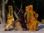 Natural Copal Amber Specimens with Insect and Plant Inclusions x 35 From Lemur Island, Madagascar - Toprock Gemstones and Minerals 