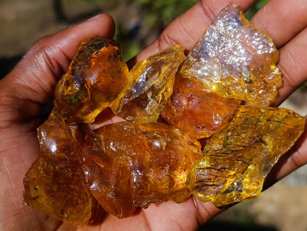 Natural Copal Amber Specimens with Insect and Plant Inclusions x 35 From Lemur Island, Madagascar - Toprock Gemstones and Minerals 