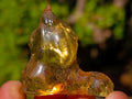 Natural Copal Amber Specimens with Insect and Plant Inclusions x 35 From Lemur Island, Madagascar - Toprock Gemstones and Minerals 