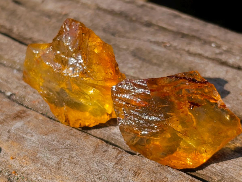 Natural Copal Amber Specimens with Insect and Plant Inclusions x 35 From Lemur Island, Madagascar - Toprock Gemstones and Minerals 