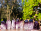 Polished Mini Dark Window Amethyst Crystals x 70 From Akansobe, Madagascar - Toprock Gemstones and Minerals 