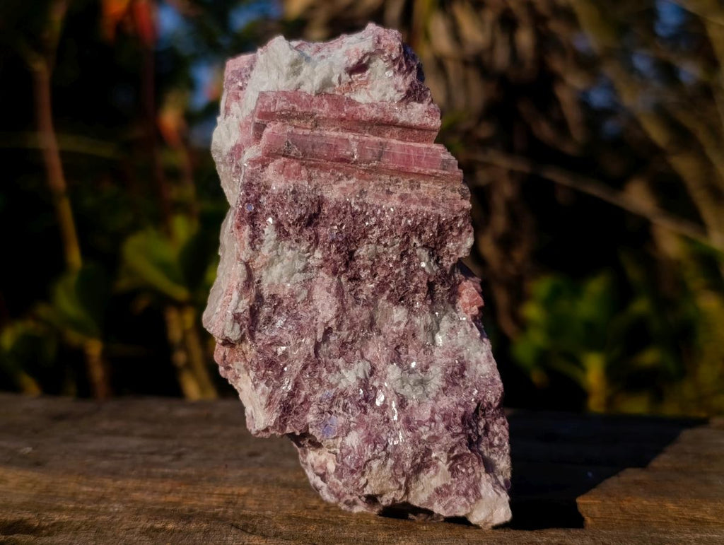 Natural Pink Rubellite Tourmaline Specimens x 4 From Karibib, Namibia - Toprock Gemstones and Minerals 