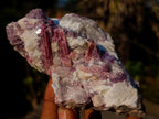 Natural Pink Rubellite Tourmaline Specimens x 4 From Karibib, Namibia - Toprock Gemstones and Minerals 