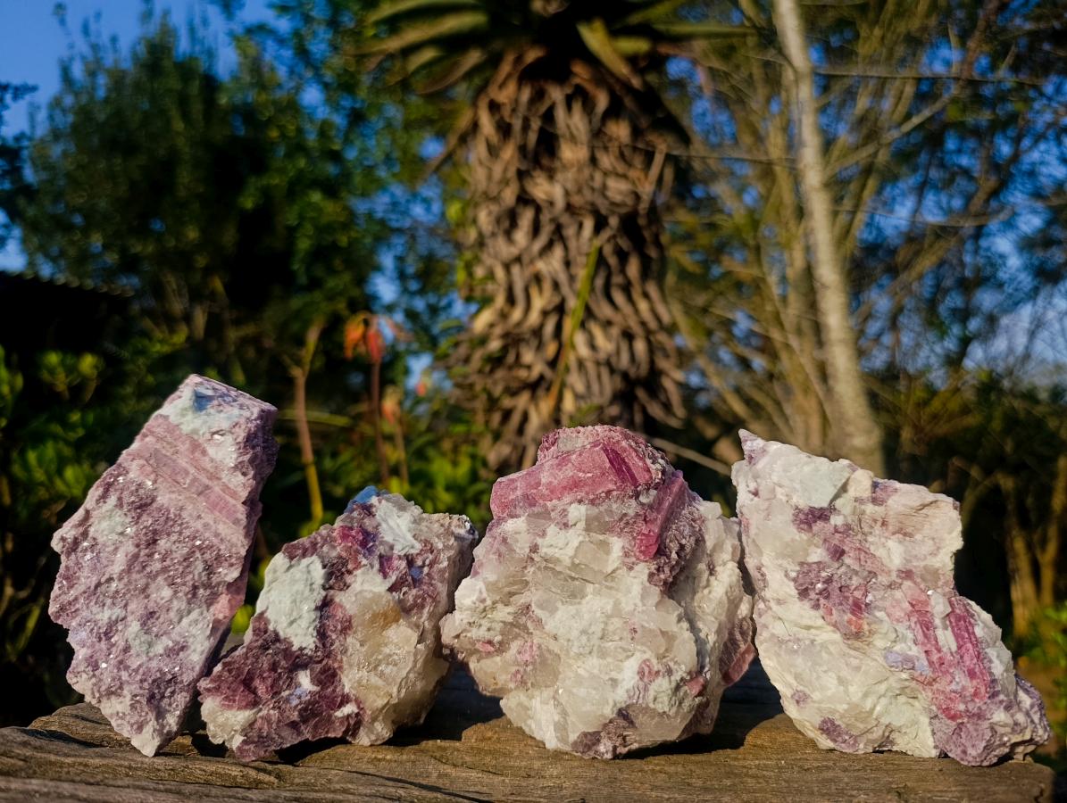 Natural Pink Rubellite Tourmaline Specimens x 4 From Karibib, Namibia - Toprock Gemstones and Minerals 