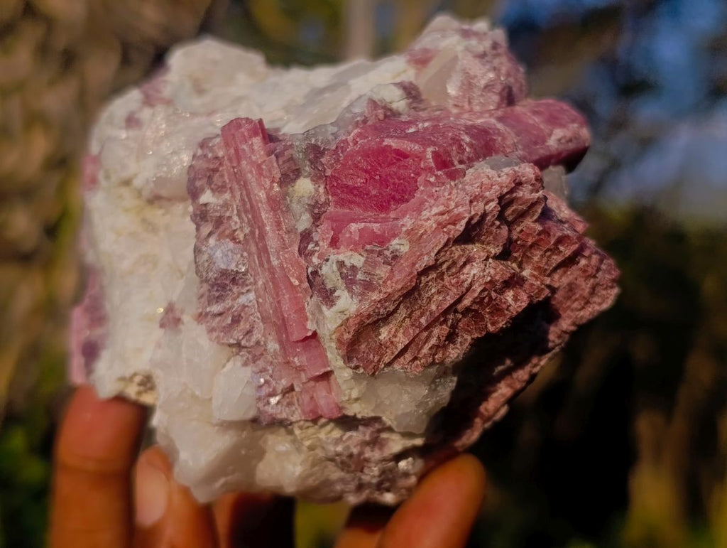 Natural Pink Rubellite Tourmaline Specimens x 4 From Karibib, Namibia - Toprock Gemstones and Minerals 