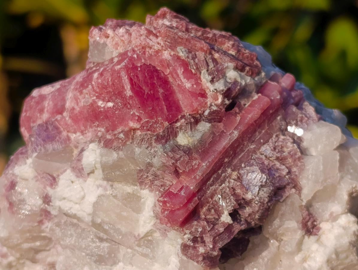 Natural Pink Rubellite Tourmaline Specimens x 4 From Karibib, Namibia - Toprock Gemstones and Minerals 