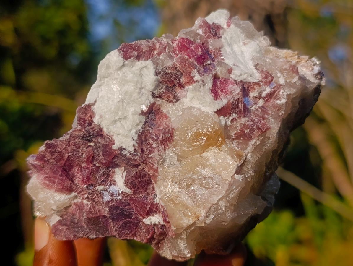 Natural Pink Rubellite Tourmaline Specimens x 4 From Karibib, Namibia - Toprock Gemstones and Minerals 