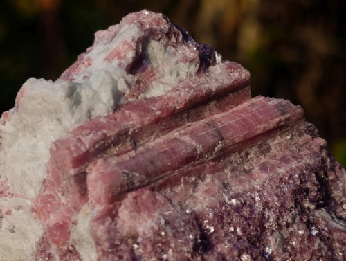 Natural Pink Rubellite Tourmaline Specimens x 4 From Karibib, Namibia - Toprock Gemstones and Minerals 