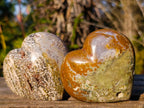 Polished Ocean Jasper Hearts x 6 From Northwest Coast, Madagascar - Toprock Gemstones and Minerals 