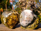 Polished Ocean Jasper Hearts x 6 From Northwest Coast, Madagascar - Toprock Gemstones and Minerals 