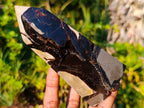 Polished Septerye Sauvage Display Crystals x 2 From Mahajanga, Madagascar - Toprock Gemstones and Minerals 