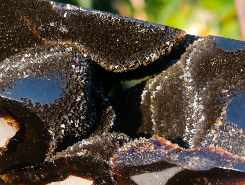 Polished Septerye Sauvage Display Crystals x 2 From Mahajanga, Madagascar - Toprock Gemstones and Minerals 