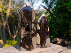 Polished Septerye Sauvage Display Crystals x 2 From Mahajanga, Madagascar - Toprock Gemstones and Minerals 
