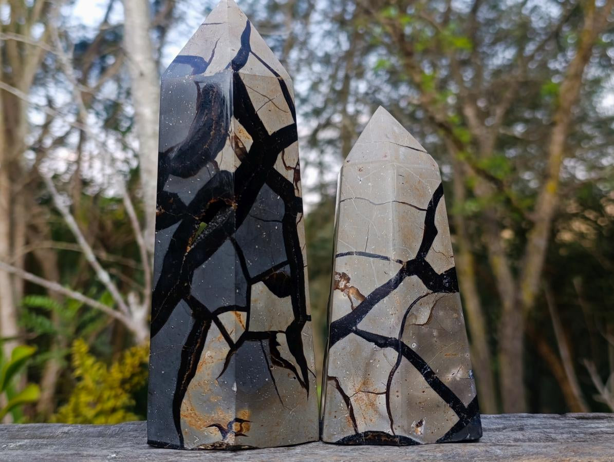 Polished Septerye Sauvage Display Crystals x 2 From Mahajanga, Madagascar - Toprock Gemstones and Minerals 