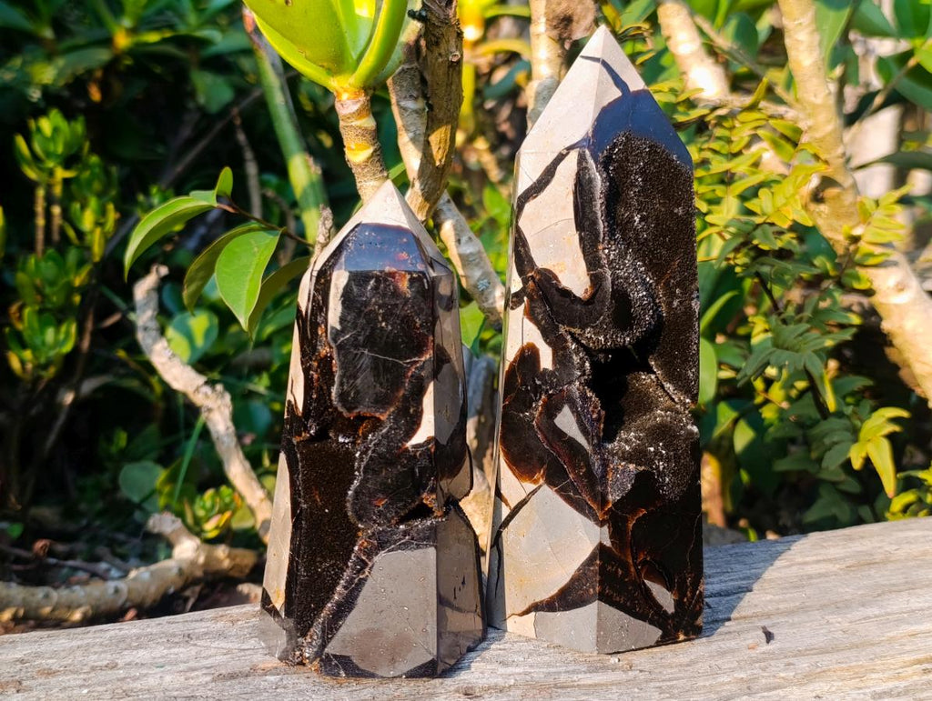 Polished Septerye Sauvage Display Crystals x 2 From Mahajanga, Madagascar - Toprock Gemstones and Minerals 