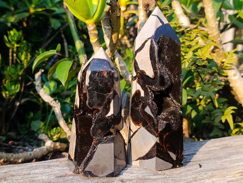 Polished Septerye Sauvage Display Crystals x 2 From Mahajanga, Madagascar - Toprock Gemstones and Minerals 