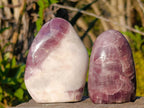 Polished Rare Anhydrite Standing Display Pieces x 6 Tulear, Madagascar - Toprock Gemstones and Minerals 