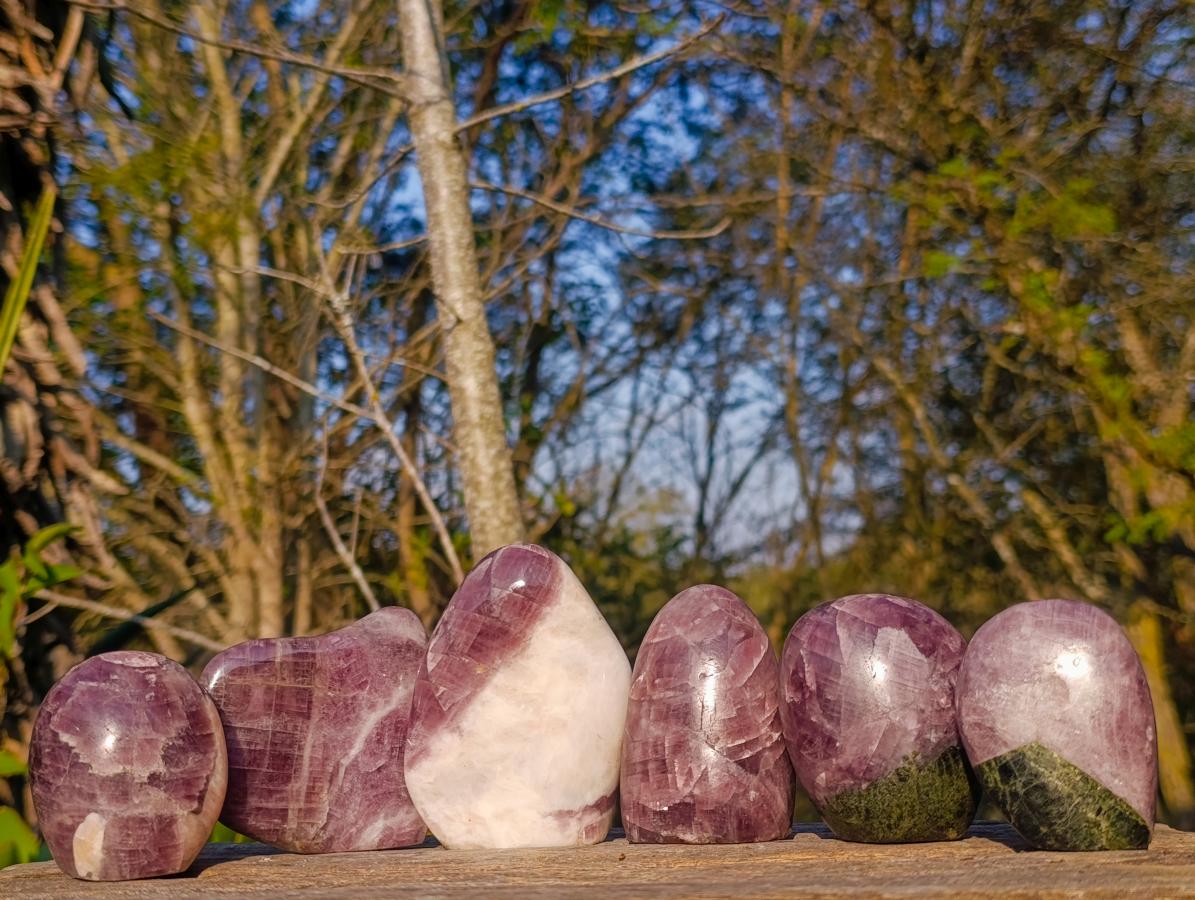 Polished Rare Anhydrite Standing Display Pieces x 6 Tulear, Madagascar - Toprock Gemstones and Minerals 