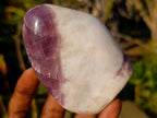 Polished Rare Anhydrite Standing Display Pieces x 6 Tulear, Madagascar - Toprock Gemstones and Minerals 