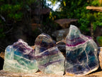 Polished One Side Watermelon Fluorite Slices x 4 From Uis, Namibia - Toprock Gemstones and Minerals 
