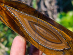 Polished Golden-Blue Tigers Eye Display Crystals x 4 From Prieska, South Africa - Toprock Gemstones and Minerals 