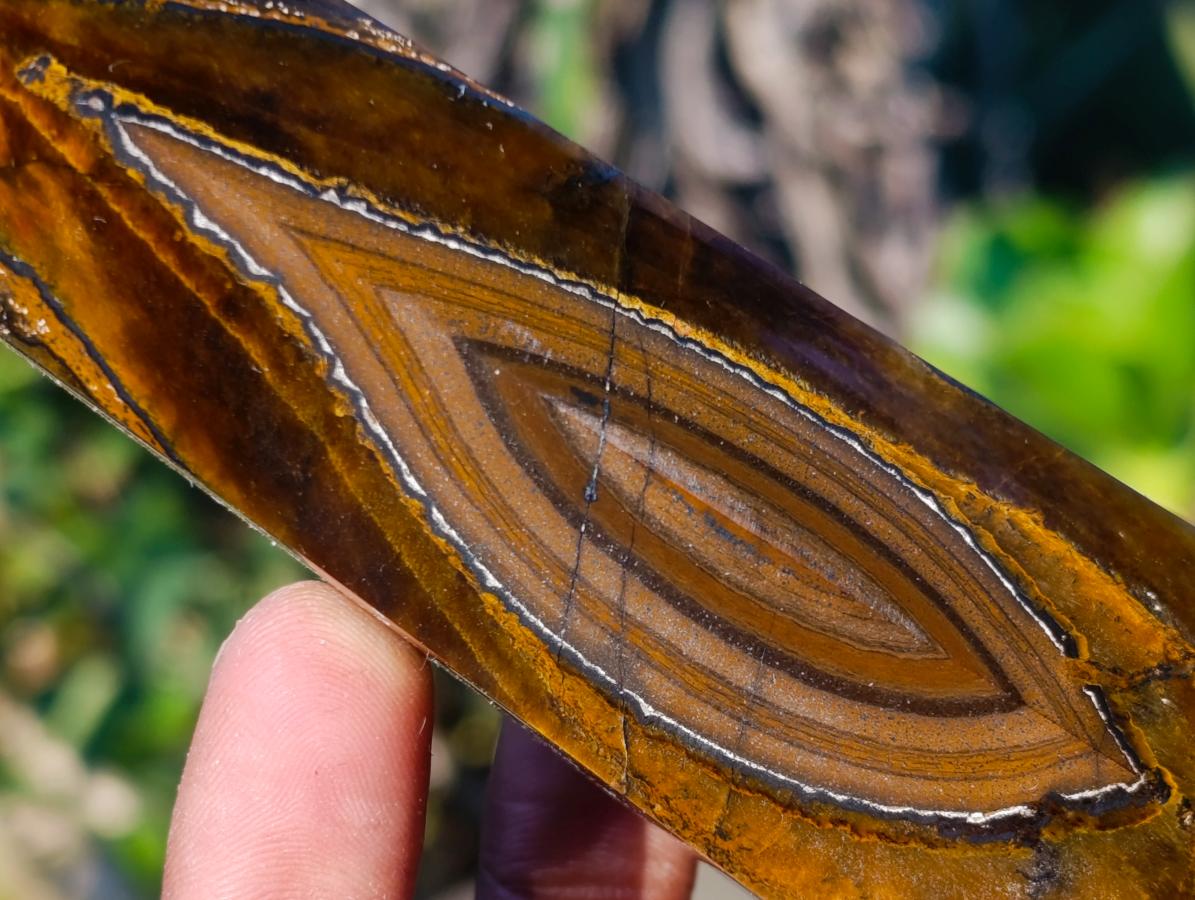Polished Golden-Blue Tigers Eye Display Crystals x 4 From Prieska, South Africa - Toprock Gemstones and Minerals 