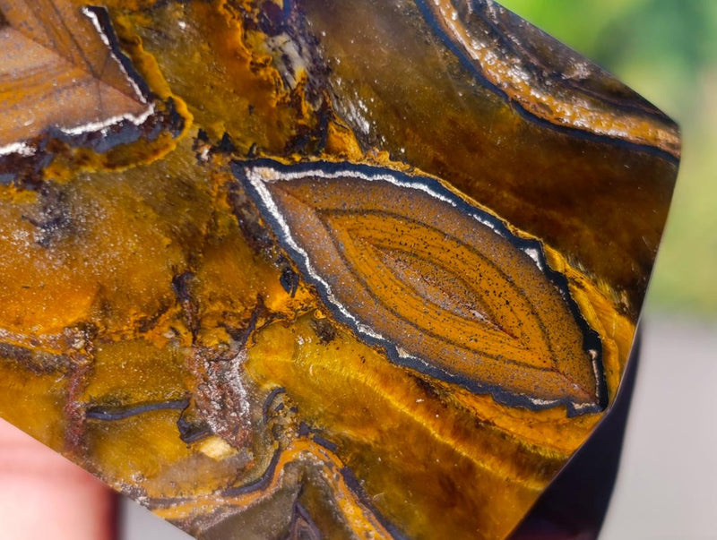 Polished Golden-Blue Tigers Eye Display Crystals x 4 From Prieska, South Africa - Toprock Gemstones and Minerals 