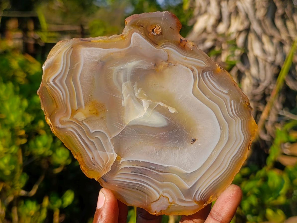 Polished Banded Agate Slices with Natural Edging x 6 From Madagascar - Toprock Gemstones and Minerals 