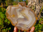 Polished Banded Agate Slices with Natural Edging x 6 From Madagascar - Toprock Gemstones and Minerals 