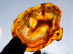 Polished Banded Agate Slices with Natural Edging x 6 From Madagascar - Toprock Gemstones and Minerals 