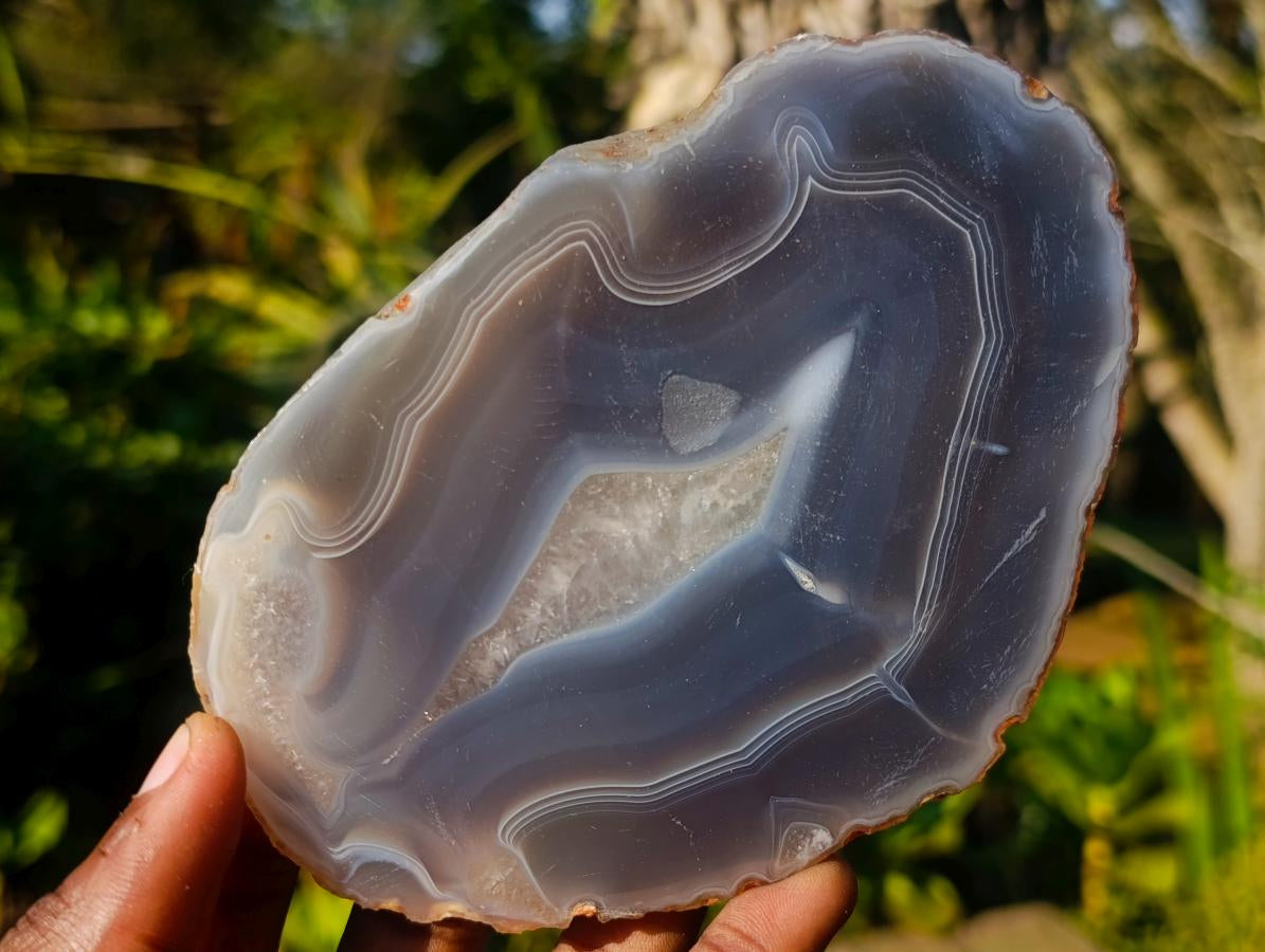Polished Banded Agate Slices with Natural Edging x 6 From Madagascar - Toprock Gemstones and Minerals 